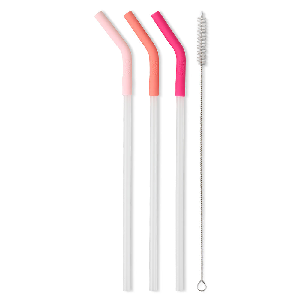 Swig Life Blush/Coral/Hot Pink Reusable Straw Set