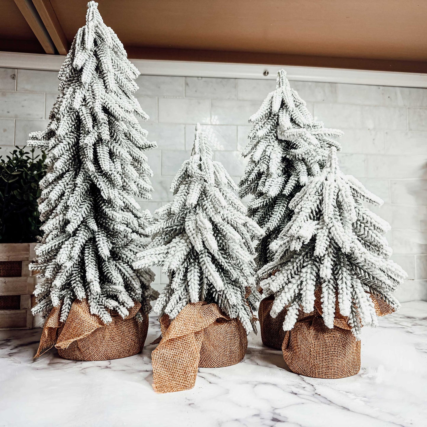 Snow Christmas Trees 4pk