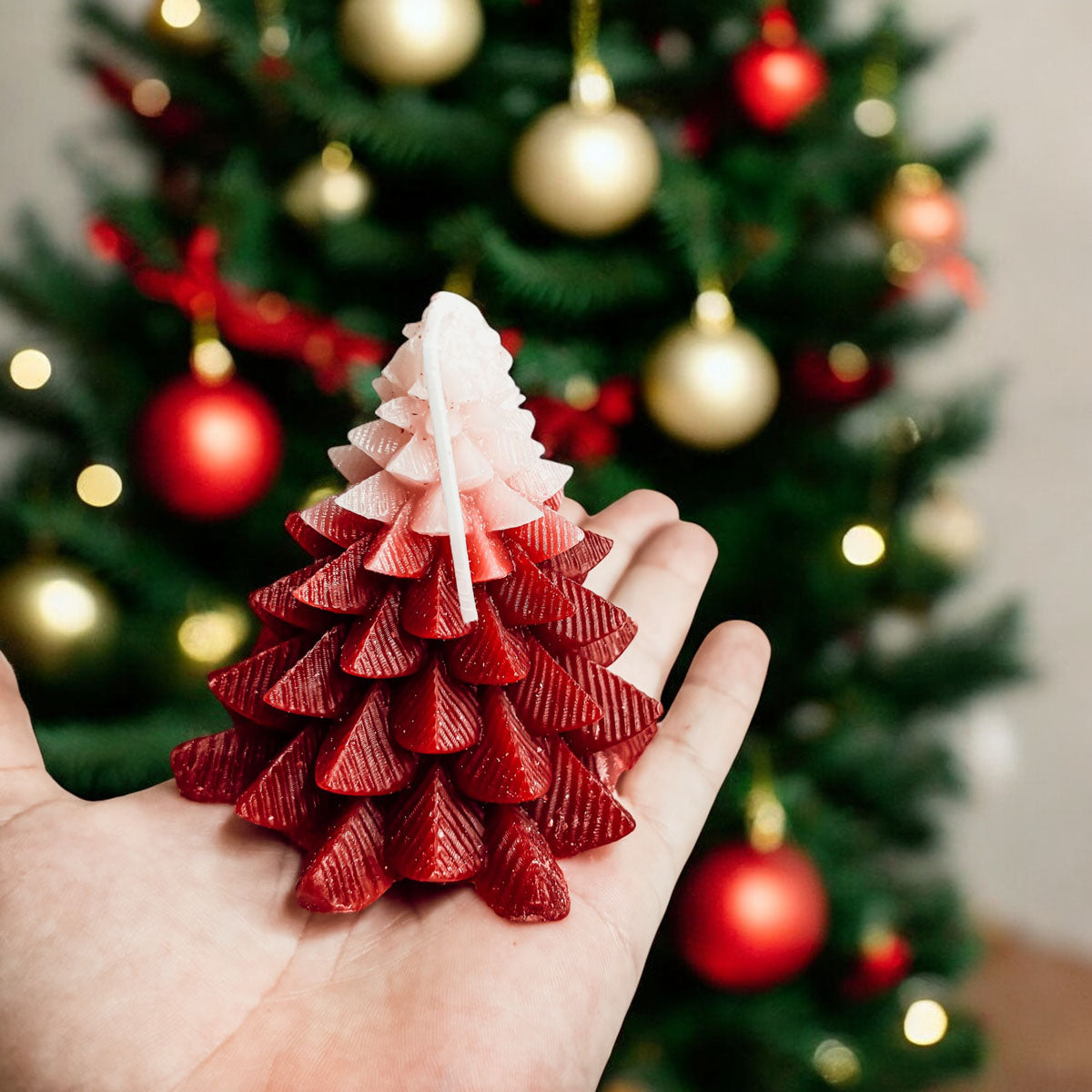 Red and white Christmas tree candles
xmas tree with candles
christmas tree candle lights
christmas tree taper candles