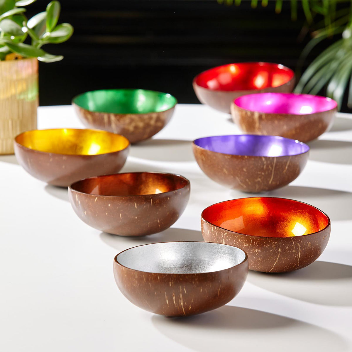 Coconut Shell Bowls Set with Various Colors