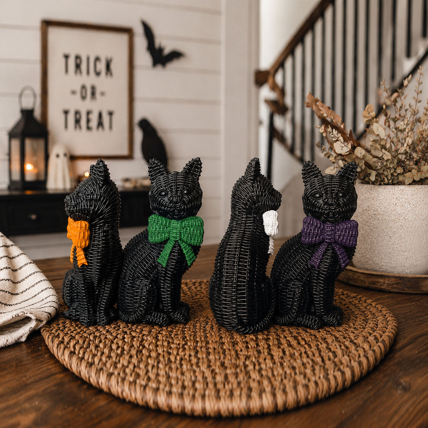 Black Cat