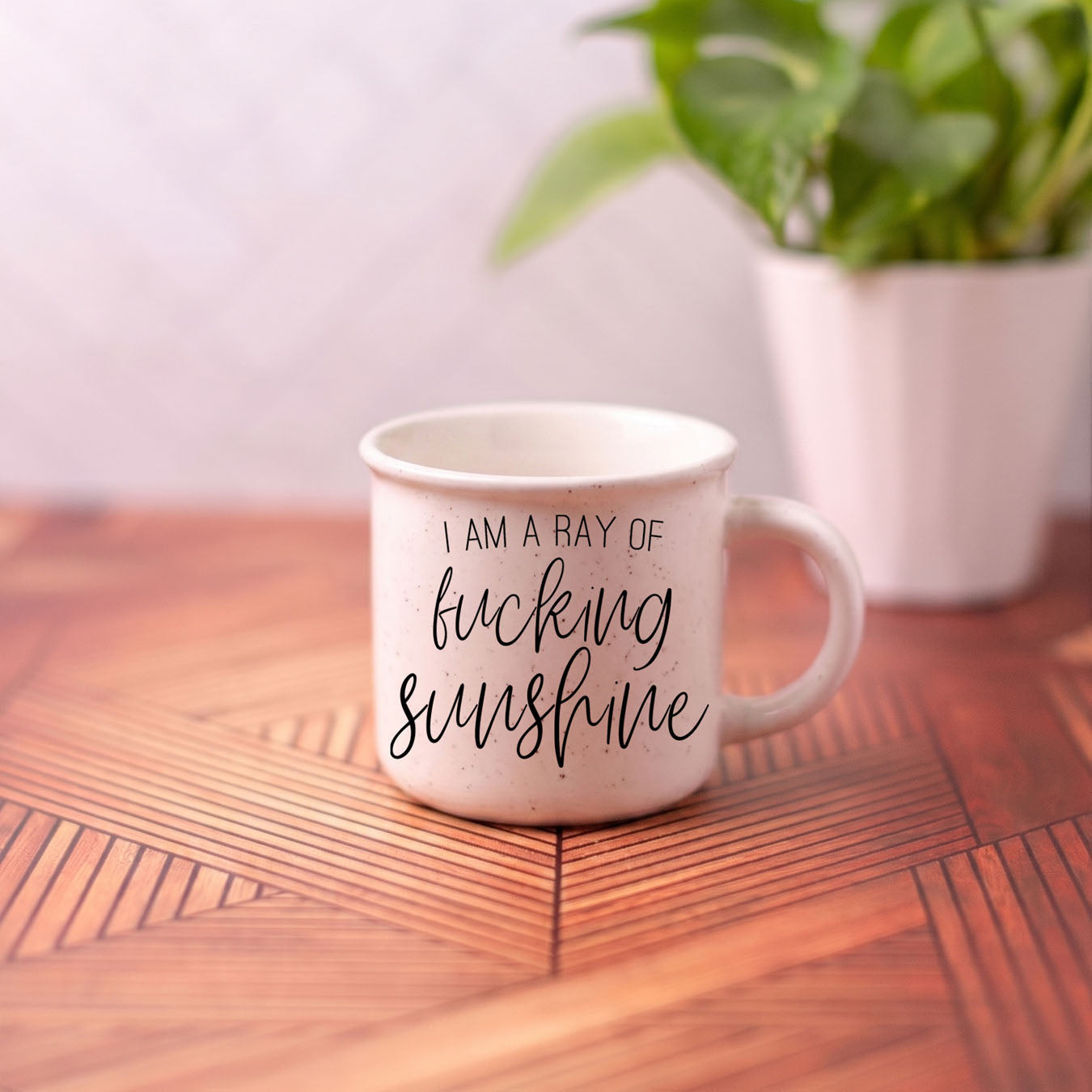 Ray of F'n Sunshine 14.5oz