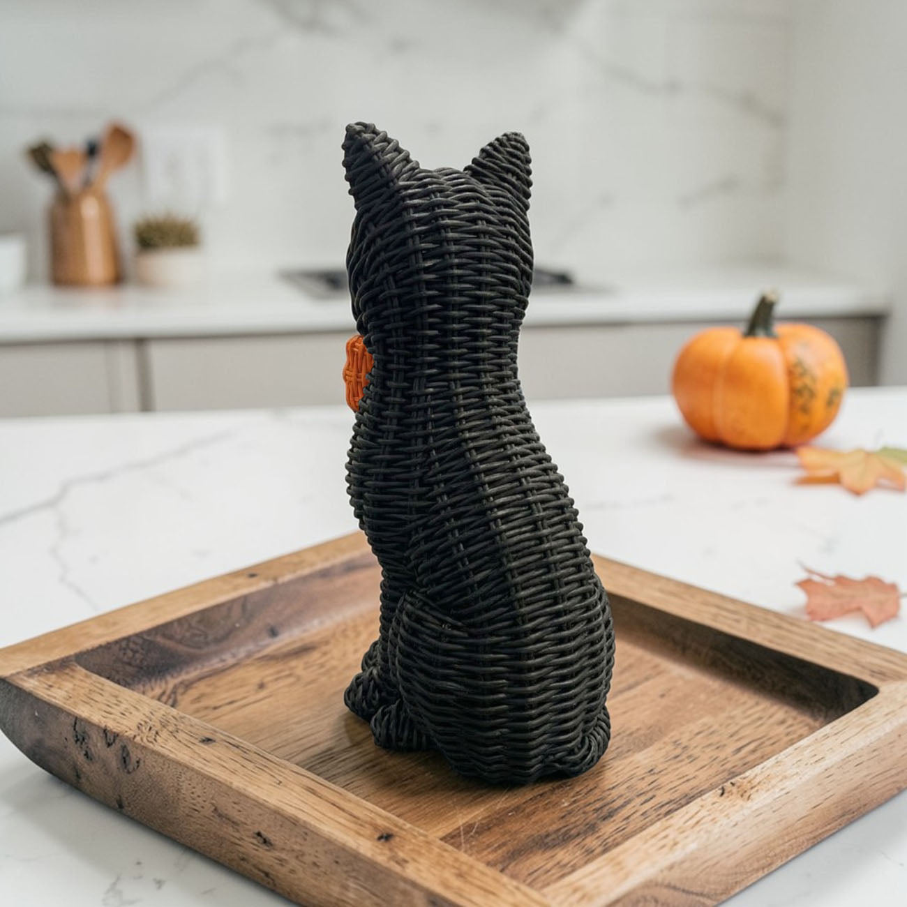 Black Cat